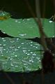 IMG-20170708-WA0015