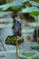 IMG-20170708-WA0024