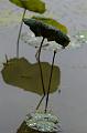 IMG-20170709-WA0038