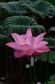 IMG-20170709-WA0071
