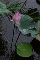 IMG-20170709-WA0094