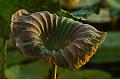 IMG-20170709-WA0135