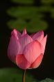 IMG-20170709-WA0147