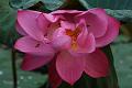 IMG-20170709-WA0174