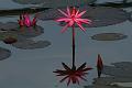 IMG-20170709-WA0176