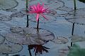 IMG-20170709-WA0179