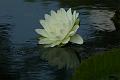 IMG-20170709-WA0183