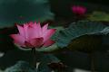 IMG-20170709-WA0185