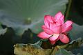 IMG-20170710-WA0000