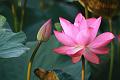IMG-20170710-WA0002