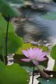 IMG-20170710-WA0007