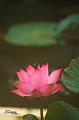 IMG-20170710-WA0020