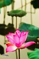 IMG-20170710-WA0021