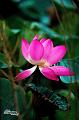 IMG-20170710-WA0033