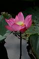 IMG-20170710-WA0047