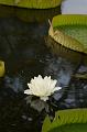 IMG-20170710-WA0049