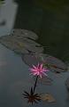 IMG-20170710-WA0050