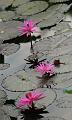IMG-20170710-WA0051