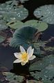 IMG-20170710-WA0055