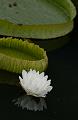 IMG-20170710-WA0058