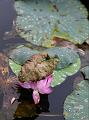 IMG-20170710-WA0060