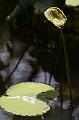 IMG-20170710-WA0072