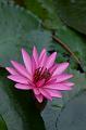 IMG-20170710-WA0088