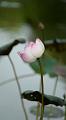 IMG-20170710-WA0089
