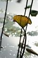 IMG-20170710-WA0091