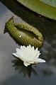 IMG-20170710-WA0093