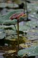 IMG-20170710-WA0097