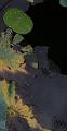 IMG-20170710-WA0099