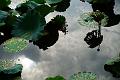 IMG-20170710-WA0163