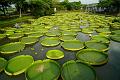 IMG-20170710-WA0164