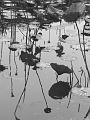 IMG-20170710-WA0170