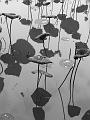IMG-20170710-WA0177