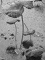 IMG-20170710-WA0178
