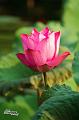 IMG-20170711-WA0002