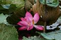 IMG-20170711-WA0024