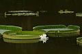 IMG-20170711-WA0027
