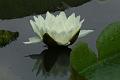 IMG-20170711-WA0028