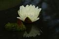 IMG-20170711-WA0029