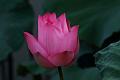 IMG-20170711-WA0034