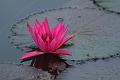 IMG-20170711-WA0037