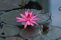 IMG-20170711-WA0038