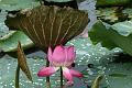 IMG-20170711-WA0067