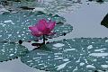 IMG-20170713-WA0009
