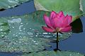 IMG-20170713-WA0017