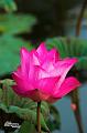 IMG-20170713-WA0024