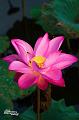 IMG-20170714-WA0002